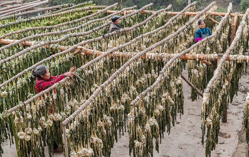 salted-vegetable-drying