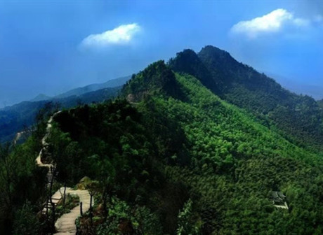Yongchuan District: Experience the Tea Culture Here