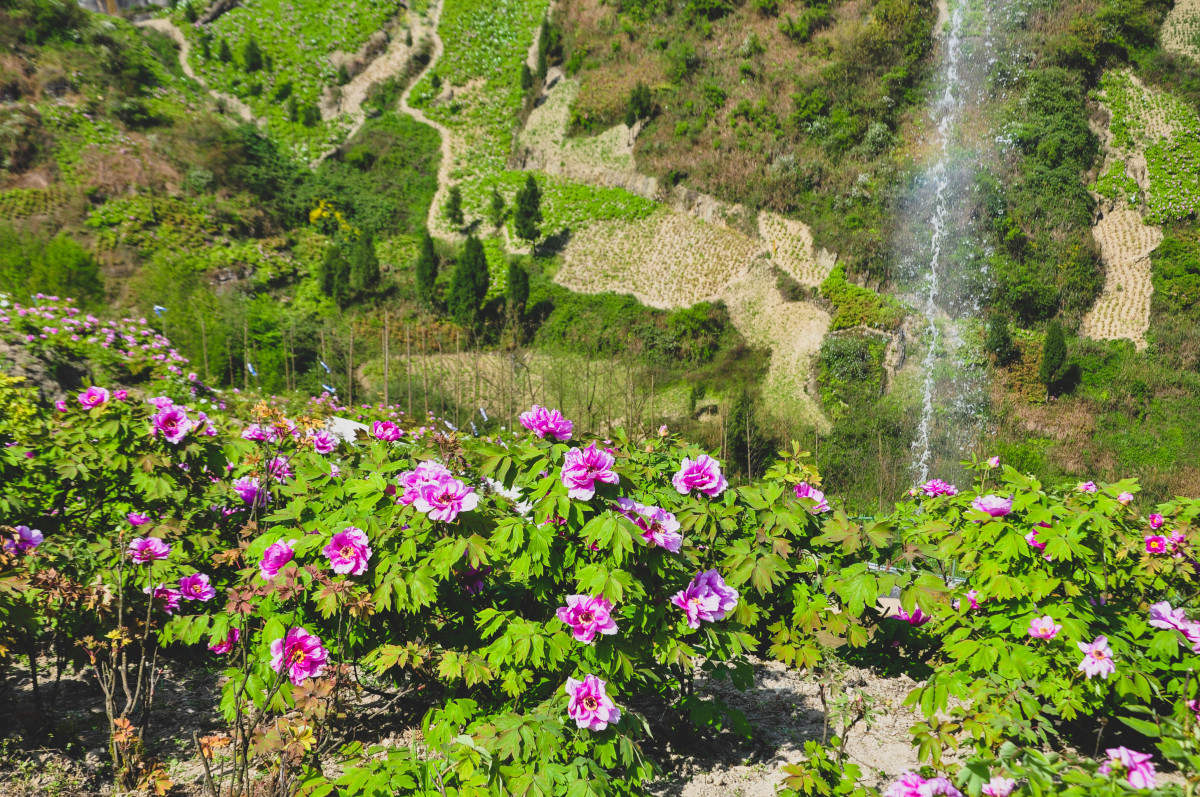 The Kaizhifeng Tourist Area. Photo by Cao Xiangyi.