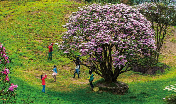 Transseksuallarni masturbatsiya qilish