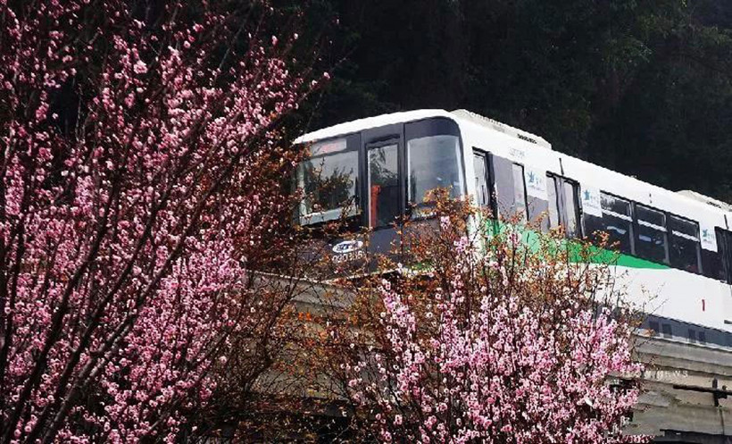 Chongqing-Rail-Transit-fotuguan-flowers