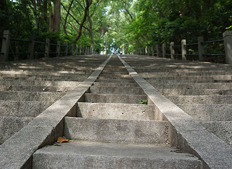 Eight Unexpected Destinations for Mountain Climbing in Downtown Chongqing