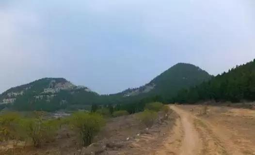 Mountain-Climbing-limao