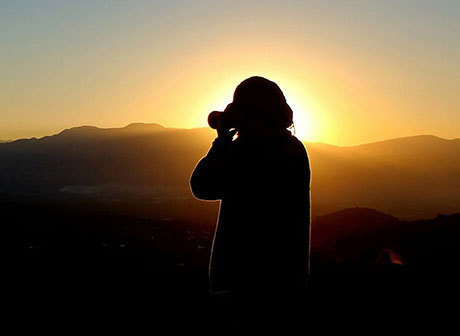 Thousands of Starry Nights Captured within Five Years along the