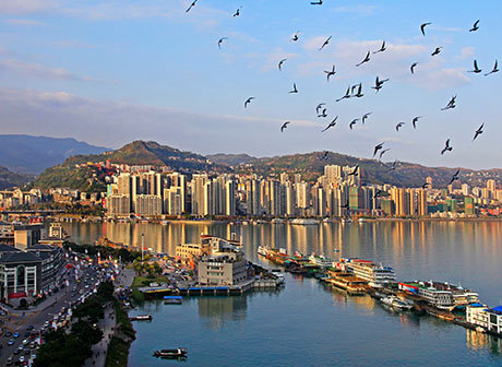 Chongqing City Signed a Memorandum of Friendly Cooperation with N'Djamena City