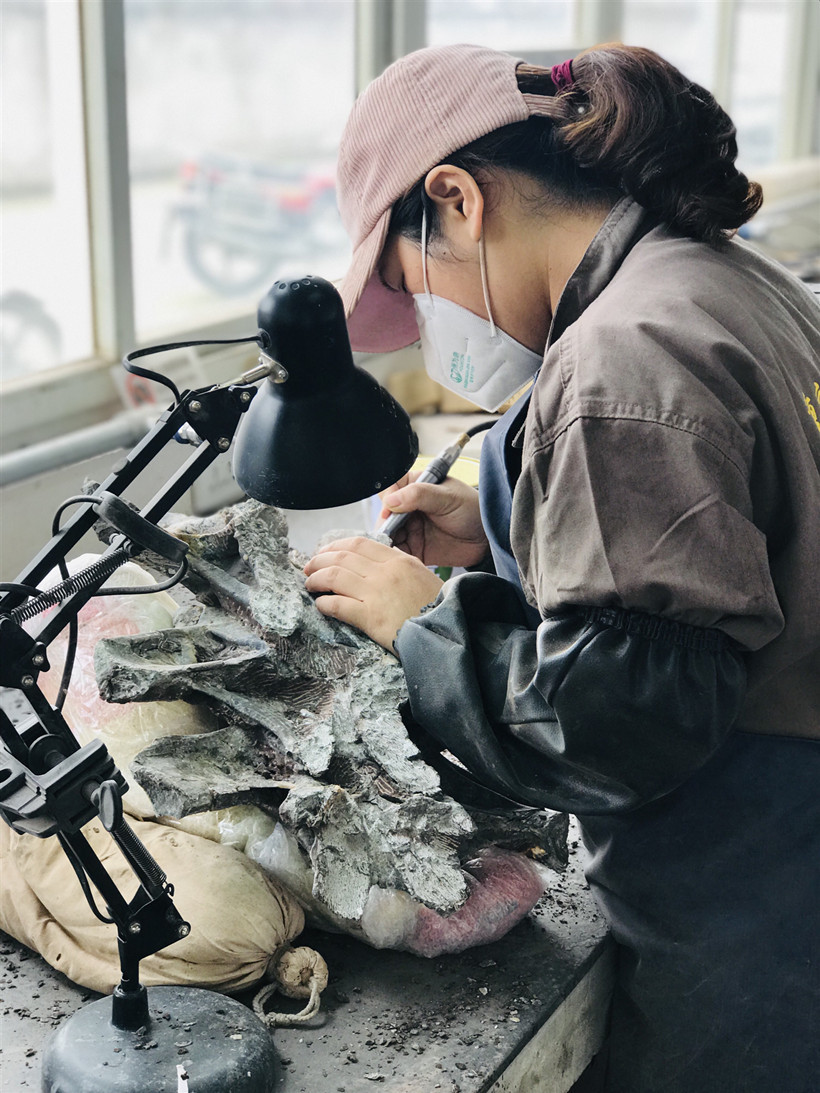Restoration-repair