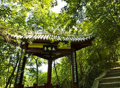 The Spring of Chongqing is Waiting for You