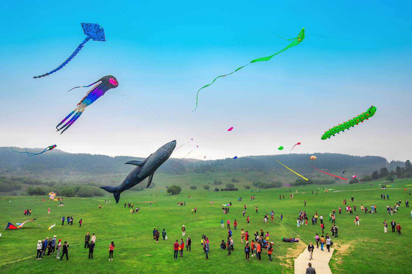 Spring-kite