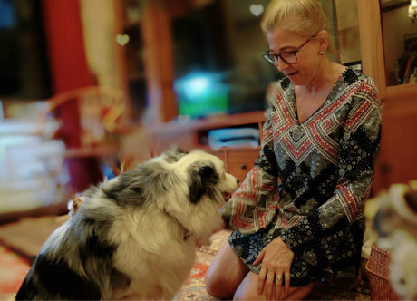 The Animal Rescue Group in Chongqing: Be the Voice of the Voiceless