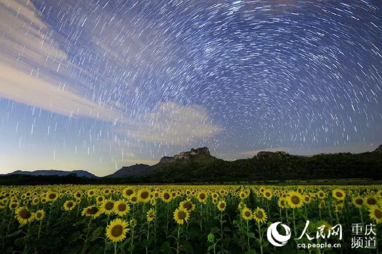 nights-Thailand