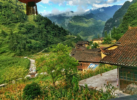 Good Destinations for Spring Outings in Chongqing