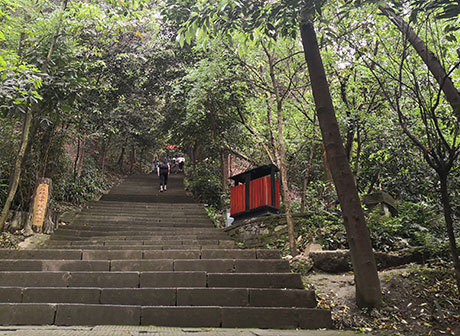 The 300 Steps along Gele Mountain: Once Paved the Way for Chongqing Merchants More than 400 Ago