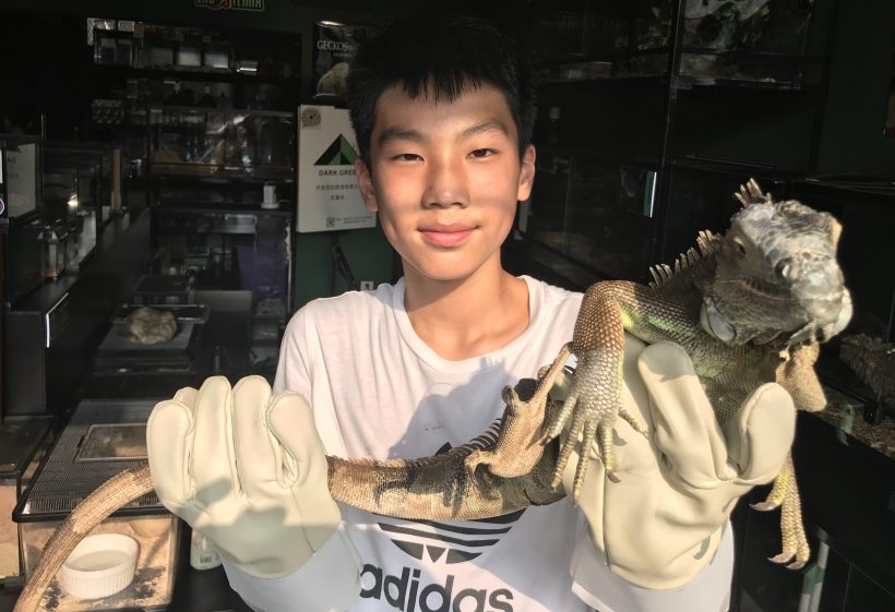 A teenager with lizard (alternative pet) in Wanghai market