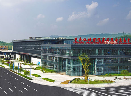Chongqing Plays an Important Role in Promoting the Joint Development of the