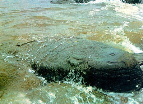 Chongqing Plans to Build Baiheliang National Hydrological Site Park
