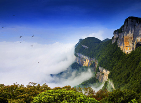 Jinfo Mountain, Qingcheng Mountain-Dujiangyan Establish Cooperation ...