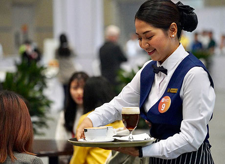 BRISC: Folding Napkins into Distinct Shapes