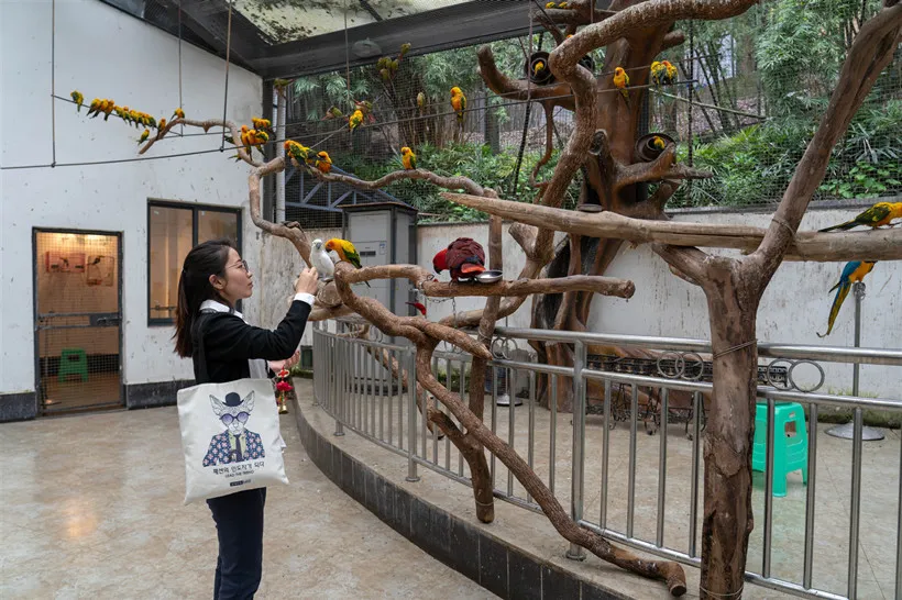 Zoo-visitors