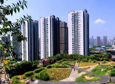 Mayor of Chongqing: Playing Important Role in Promoting Green Development on the Yangtze River Economic Belt