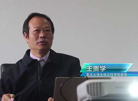 Scientific Research Team from Chongqing University Finds New Therapy Using Nano-Biomimetics