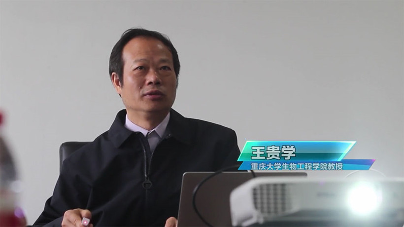 nano-biomimetics-professor