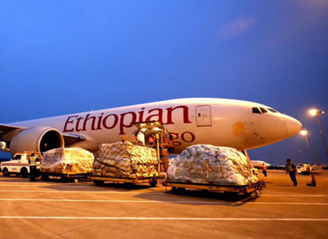 Chongqing Opens the First Regular Freight Route to Africa