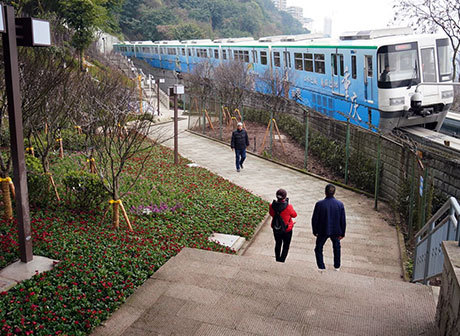Say Cheese: Chongqing Is A City Full of Attractions and Great Photos!