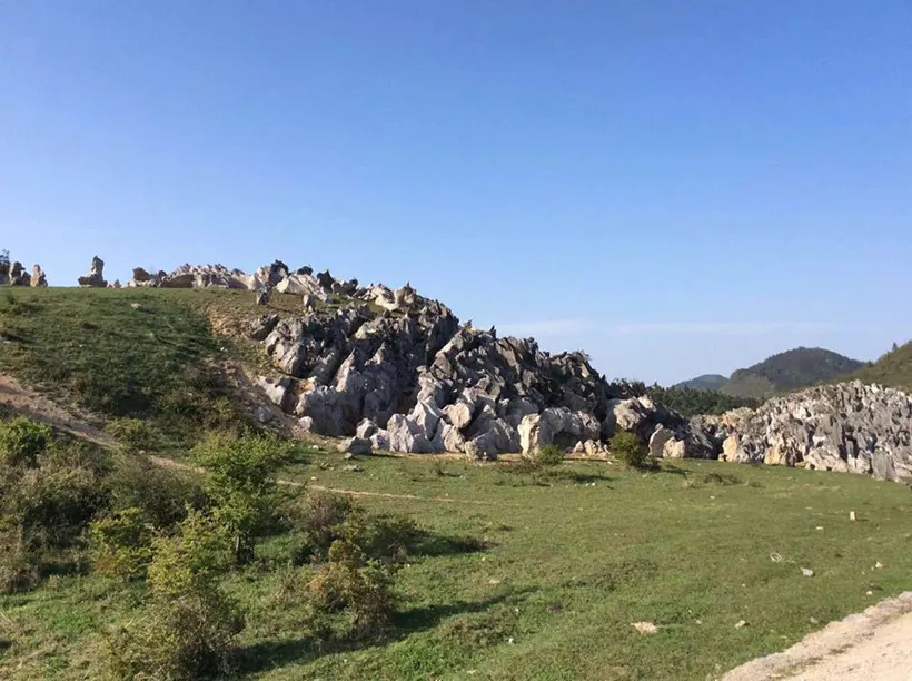 Camping-Trip-qianye