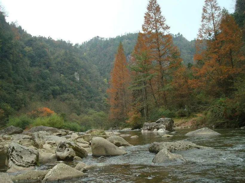 Camping-Trip-qucao