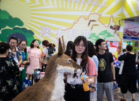 WTE2019: A Tour Around the World in a Hall