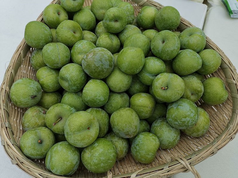 Wushan plum