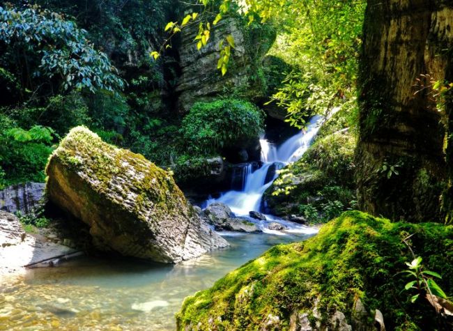 Summer Resort: It's Time to Cool Down in the Streams