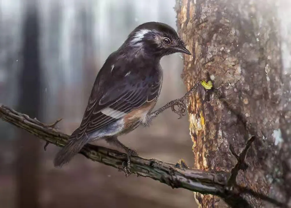 Amber-bird