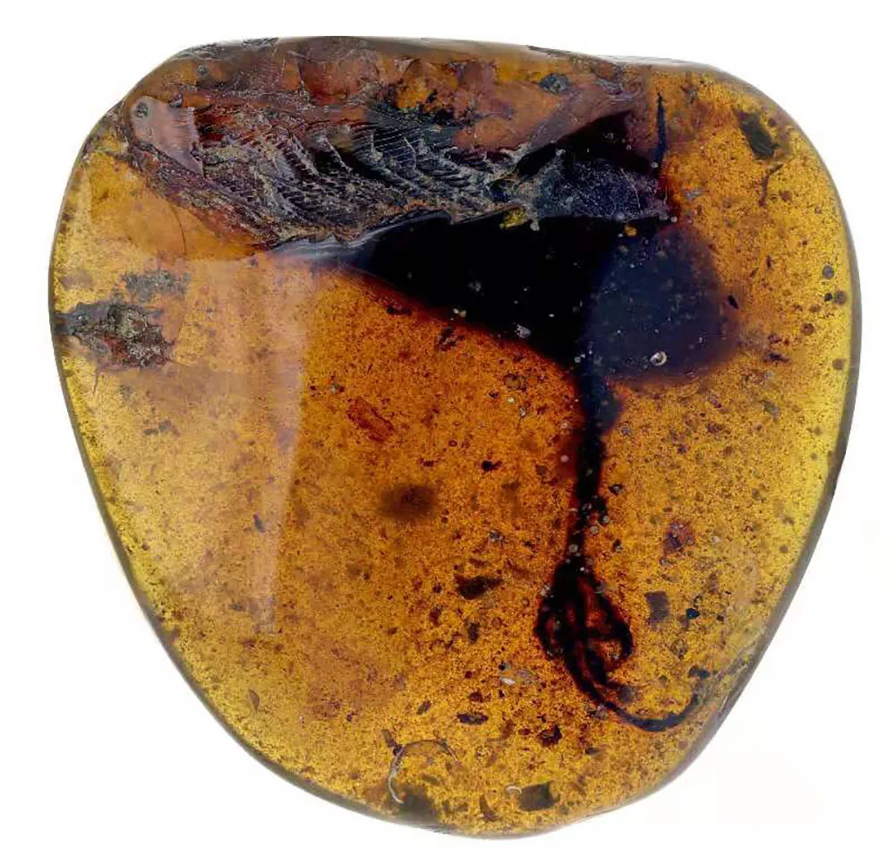 Amber