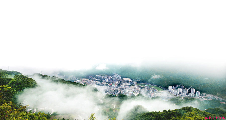 Chengkou-sichuan-thuja