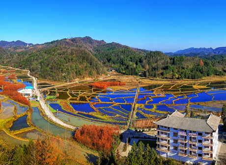 Natural Oxygen Bar in China Invites You to Enjoy Cool Summer