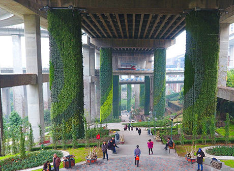 Chongqing Projected to Complete Greening of 300 Slope Fields in Two Years