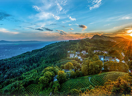 Yongchuan District Boasts Amazing Cultural Tourist Spots (And Dinosaurs!)