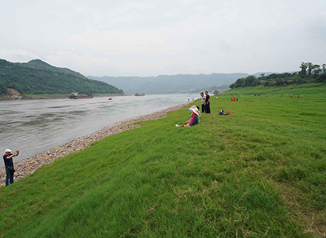 How to Restore Ecology in the Upper Reaches of the Yangtze River