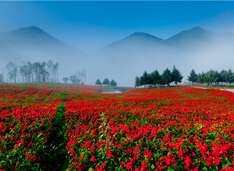 New Holiday Destinations around Chongqing: Cool, Beautiful and Fun