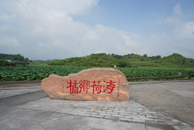 Citrus Home and Lotus Sea, Zhongxian County