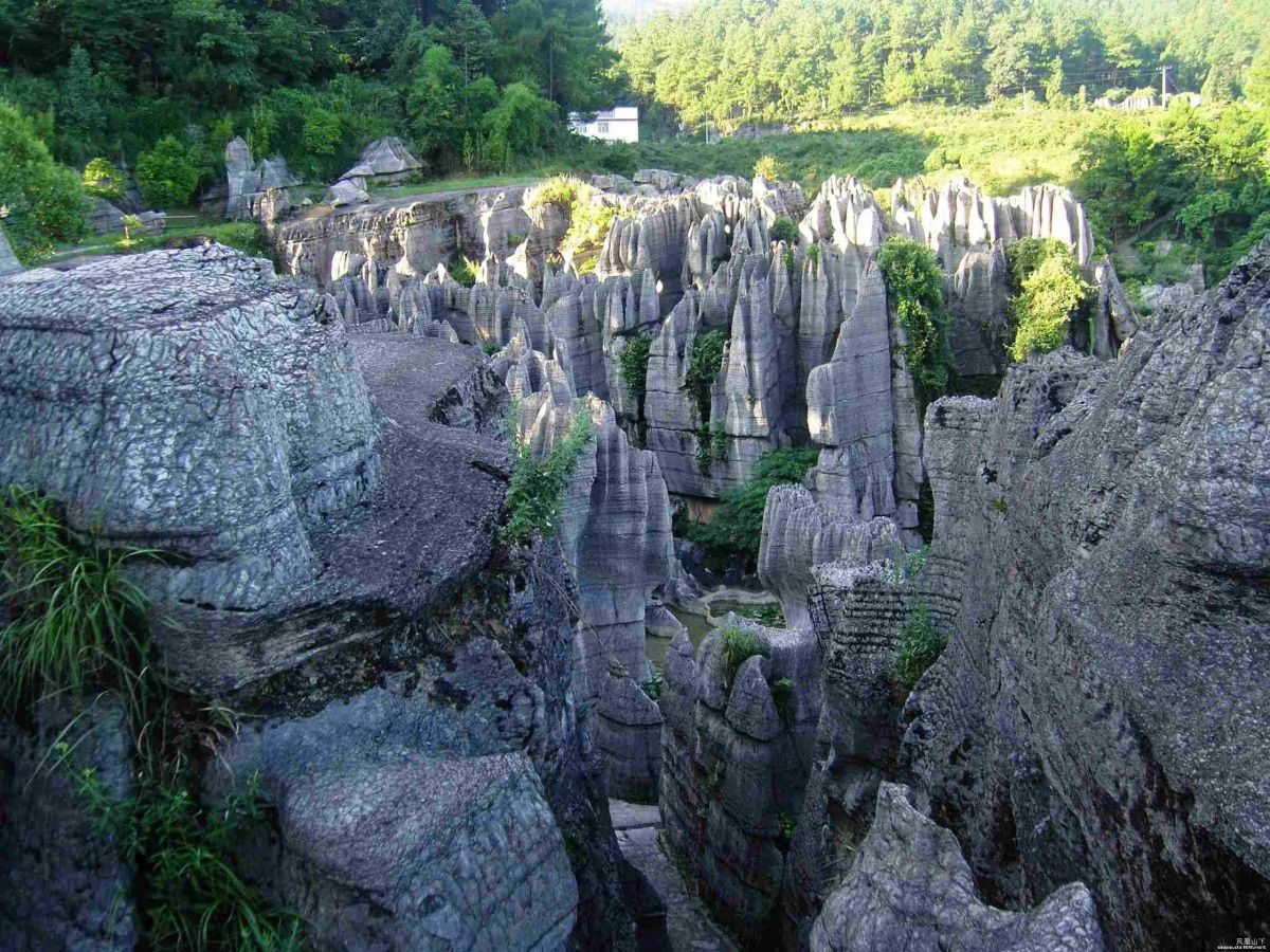 Wansheng-stone-forest