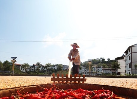The 2nd Three Gorges (Liangping) Autumn Festival Starts in August