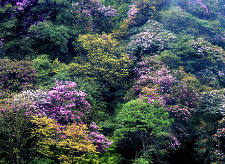 Map of the tourism spots with romantic legends in Chongging