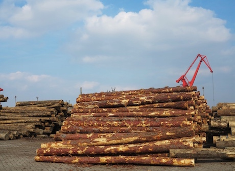 9th China Global Wood Trade Conference to Open in Chongqing Next Month