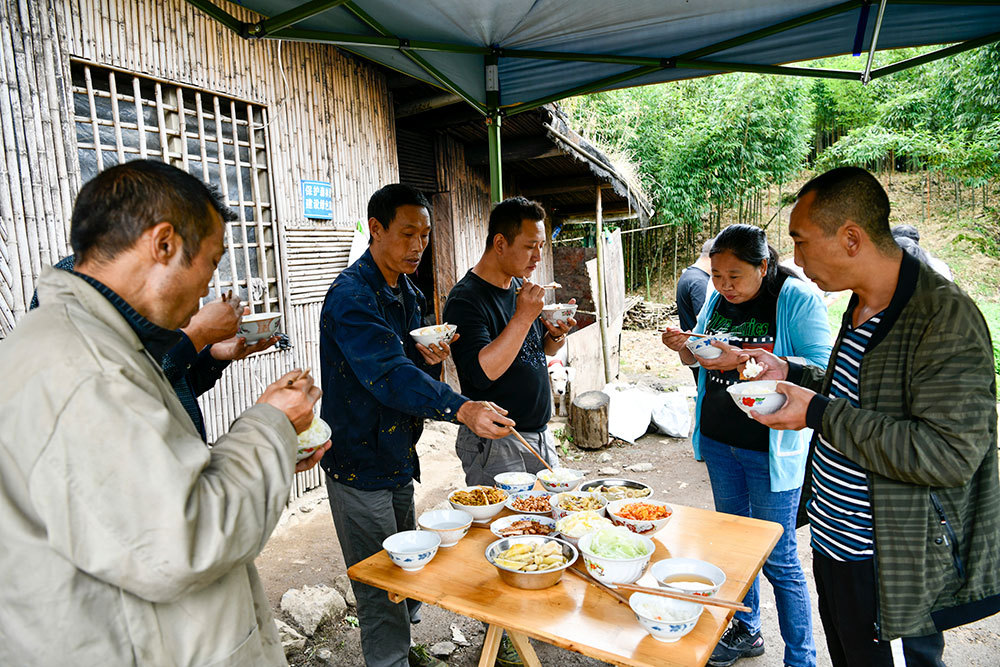 Bamboo pickers are having lunch
