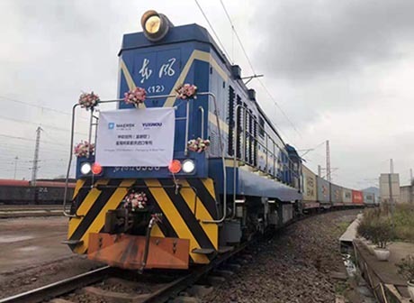 Guoyuan Port Approved as One of the 1st Batch of National Logistics Hubs