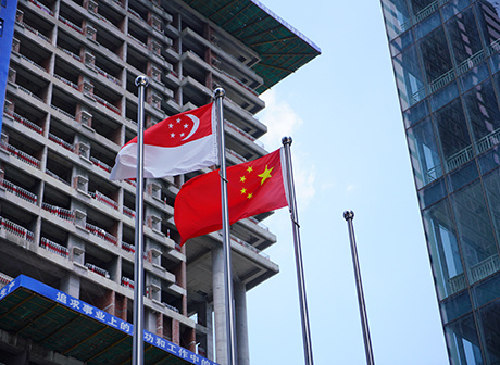 International Internet Data Channel Linking Chongqing and Singapore Goes into Service