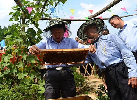 300 Activities to Celebrate Chinese Farmers' Harvest Festival