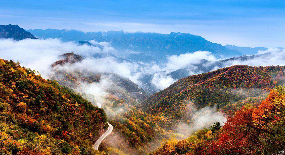 Five Chongqing Destinations with Red Leaves | ichongqing